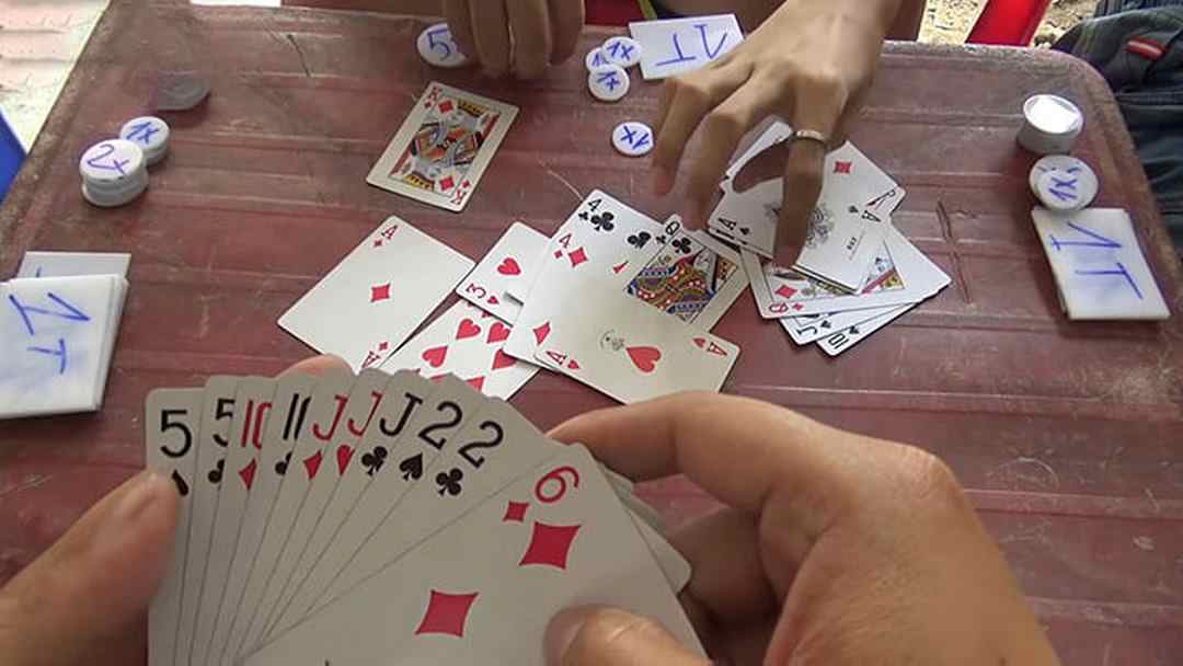 Thể loại bài bạc giải trí được ưa chuộng nhất Việt Nam