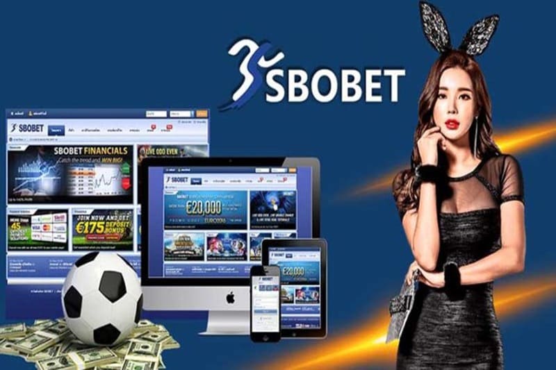 Giao diện trên app Sbobet tương tự như một trang web thu nhỏ